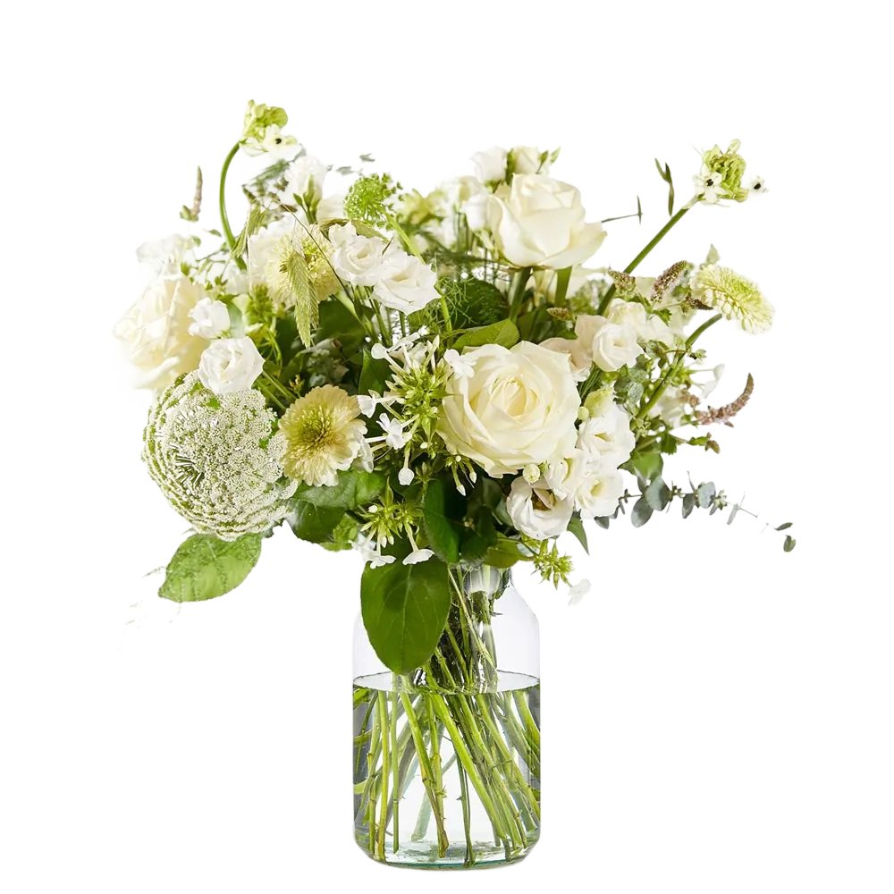 Beterschap bloemen in Assen