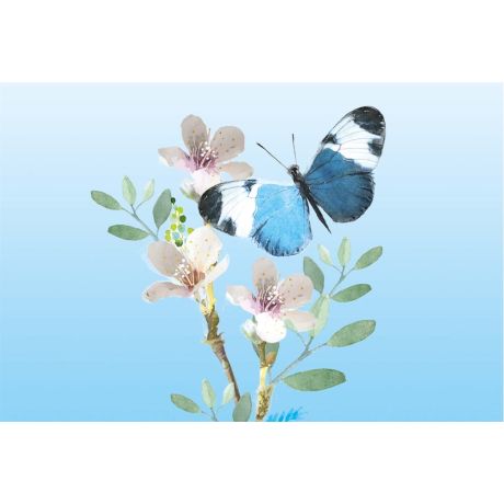 Blauwe vlinder