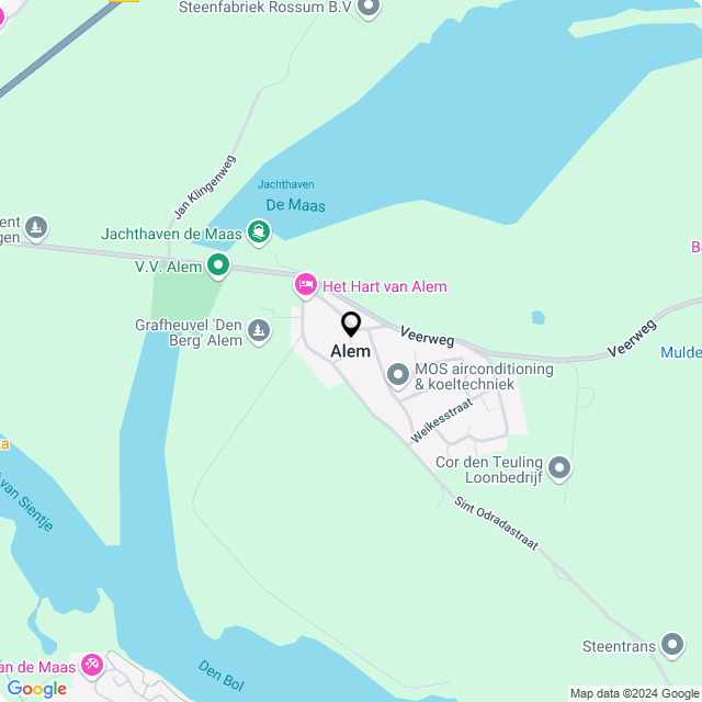 Bloemist Alem – de Bloemenwinkel Alem