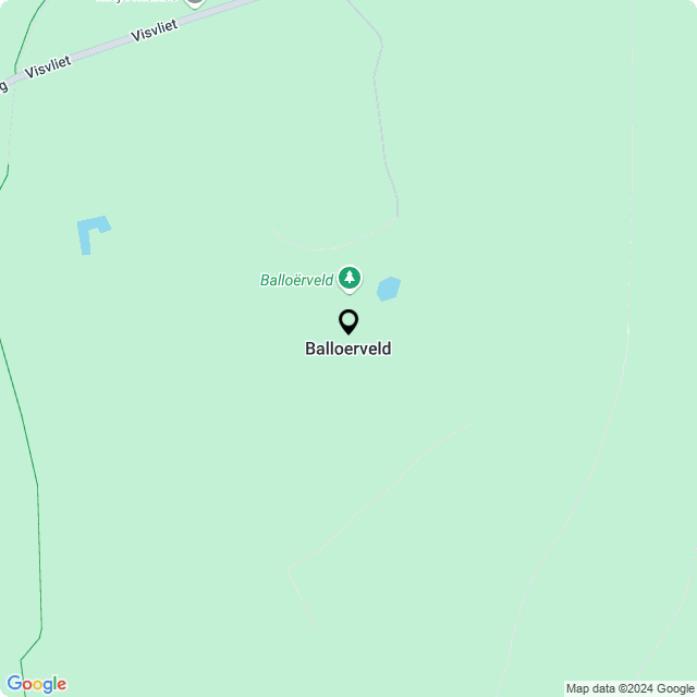 Bloemist Balloërveld – de Bloemenwinkel Balloërveld