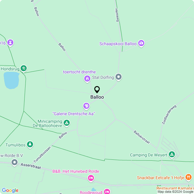Bloemist Balloo – de Bloemenwinkel Balloo