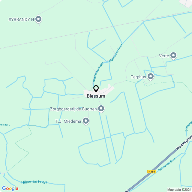 Bloemist Blessum – de Bloemenwinkel Blessum
