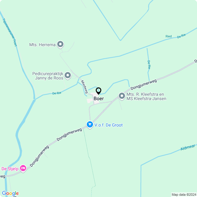 Bloemist Boer – de Bloemenwinkel Boer