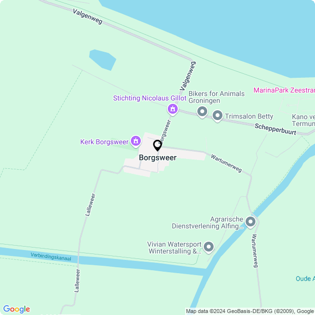 Bloemist Borgsweer – de Bloemenwinkel Borgsweer