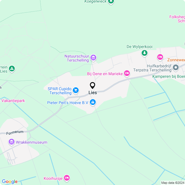 Bloemist Lies – de Bloemenwinkel Lies