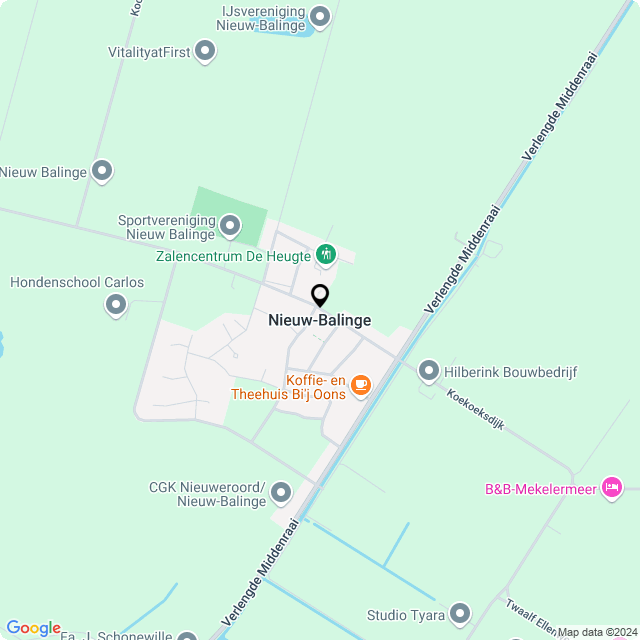 Bloemist Nieuw-Balinge – de Bloemenwinkel Nieuw-Balinge