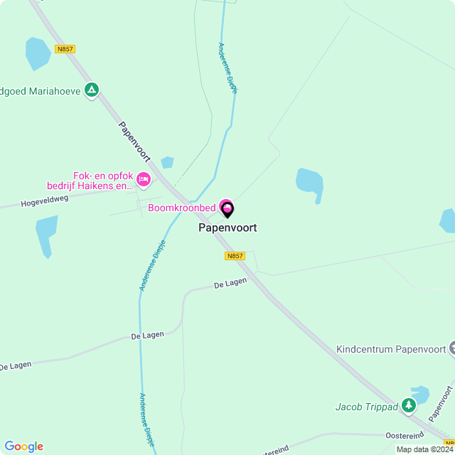 Bloemist Papenvoort – de Bloemenwinkel Papenvoort