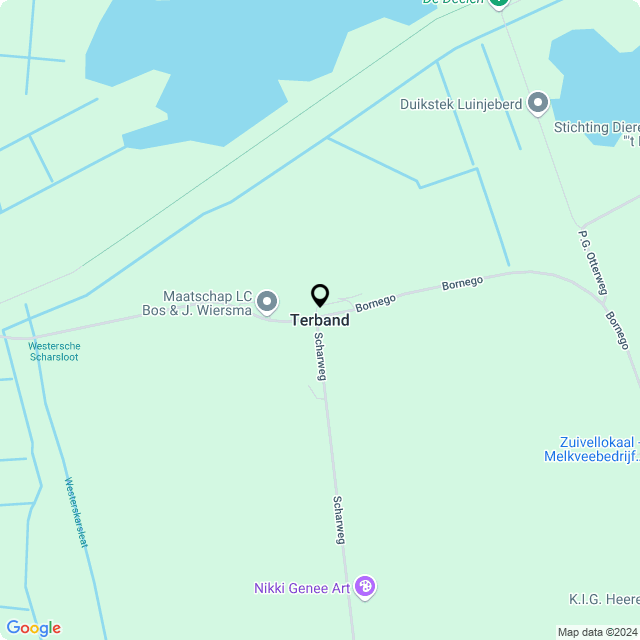 Bloemist Terband – de Bloemenwinkel Terband