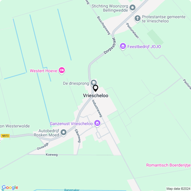 Bloemist Vriescheloo – de Bloemenwinkel Vriescheloo