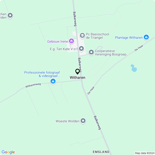 Bloemist Witharen – de Bloemenwinkel Witharen